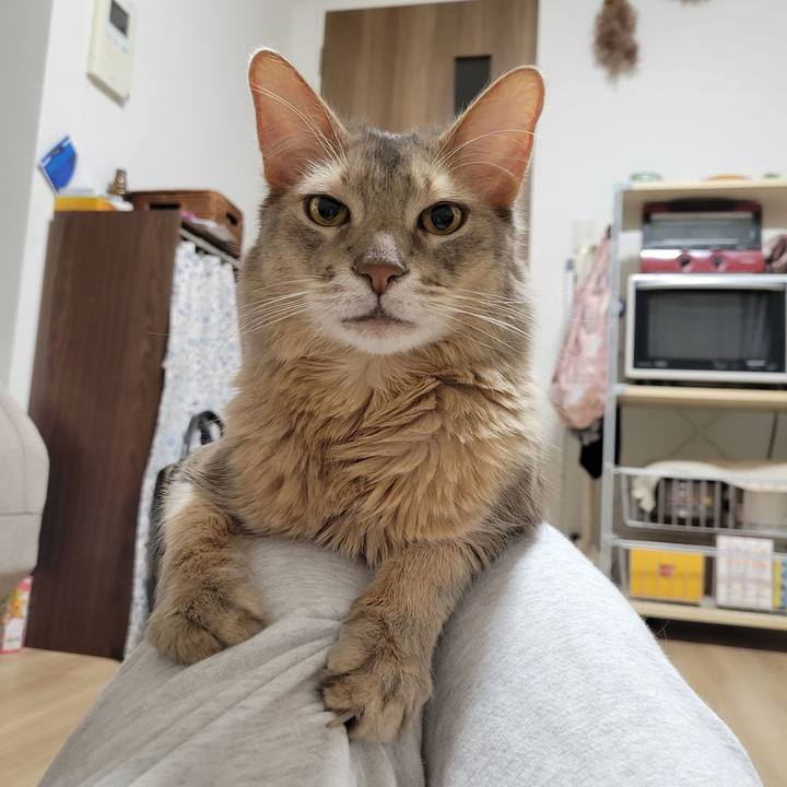 3009674d 25f8 4e36 bc80 b12f6fc9af9e 1646917128984