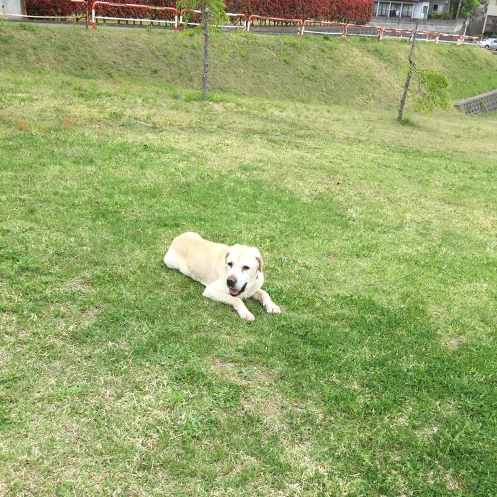 30097492 187d 4b51 a09a 2614c097912a 1525237964063