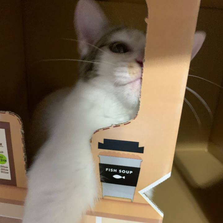 300991f0 4c41 44b1 9fb7 de6fa878ad0c 1599224775372