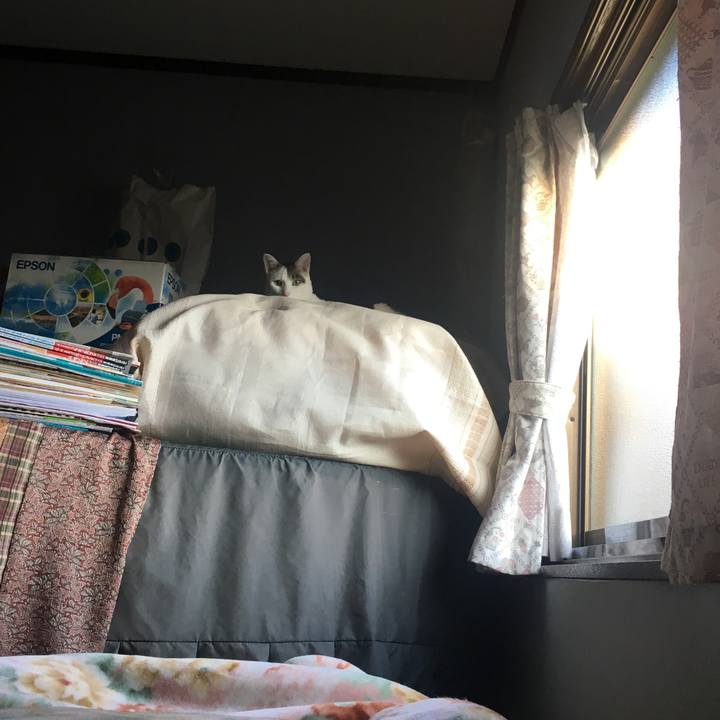 3009fe09 f8e8 4f24 b7db 55a995f1a643 1525387524719