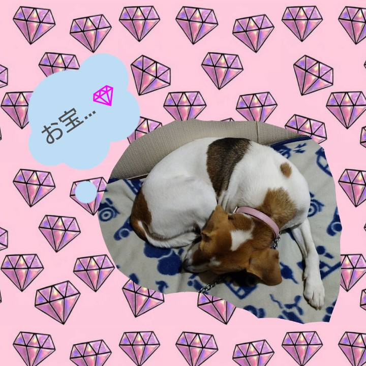 300a076e 2f0e 40f3 9d1e fc7519a155ab 1587566926578