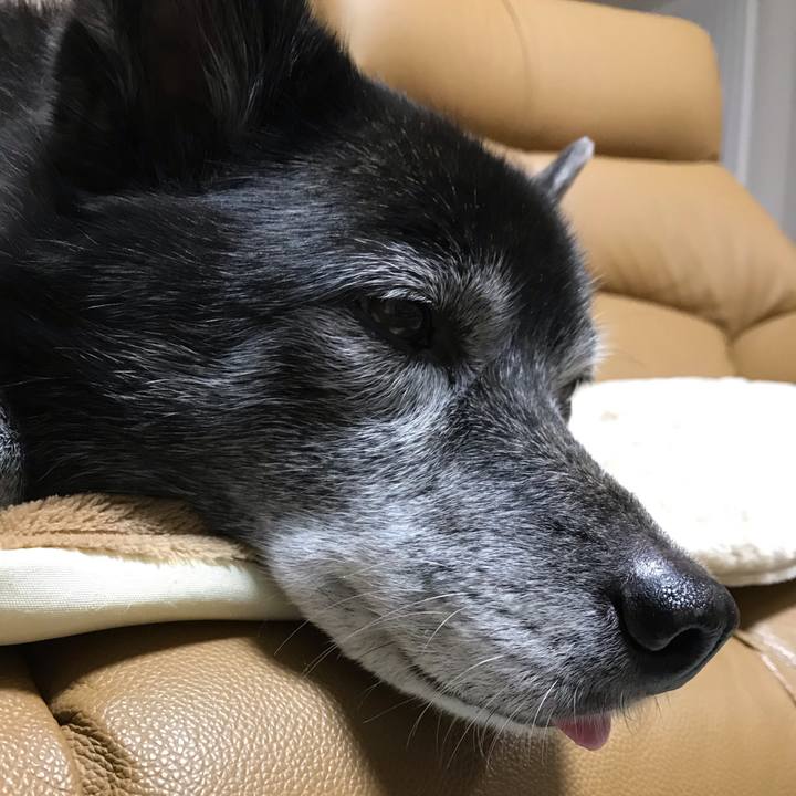 300a3bea 51ca 4b6e be3c 6733bb82988b 1645060414632