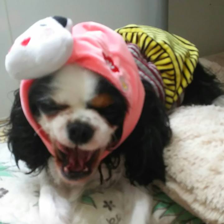 300a419f 2510 4caa b951 26ea089e07a8 1517710465111