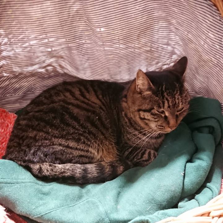 300a488b 0eb0 4d0e 8a30 d775a010411e 1640602348840