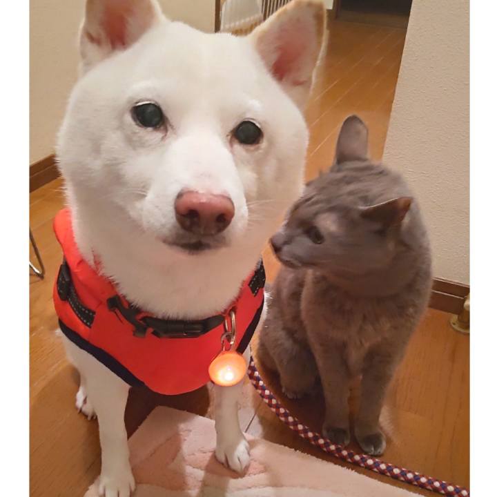 300a5797 4d9f 408b 95cd 8fa459b0b3c3 1645002400559