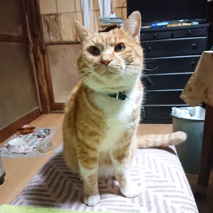 300a5c28 32db 412c bc81 e20bc8dc5053 1607888532970