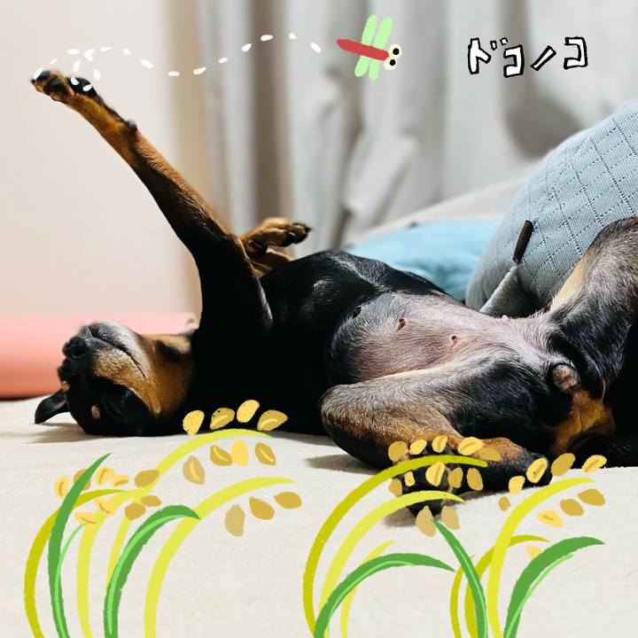 300a6ac0 76a5 4f45 b577 b7d79fe91177 1761481651930