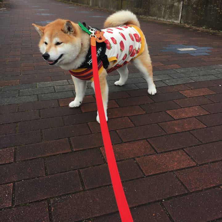 300a9364 f056 4a41 a6a8 214c21f3bc0c 1577063051632