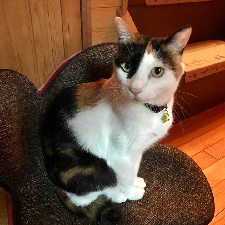 300a9b92 6739 4f78 972b af69c461530e 1541687721291