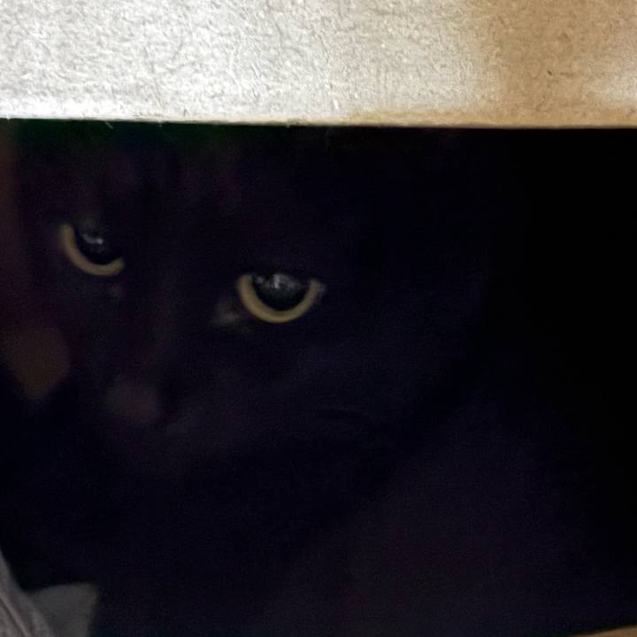 300af2f5 7805 4024 92c6 97487117bbd6 1760863990193