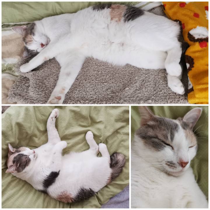 300afa98 9a31 4830 a14a 418de1074dc4 1650082927153