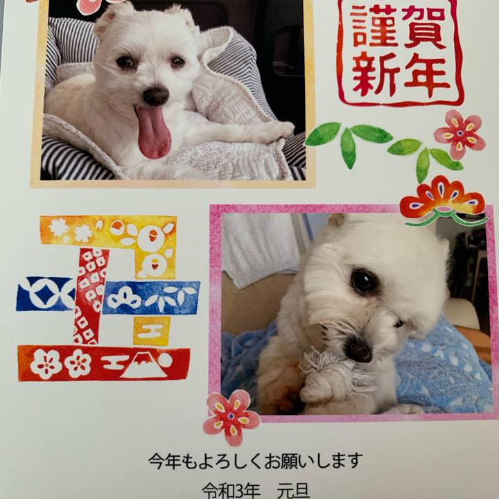 300b0acf b91d 4174 a293 044d9eb596ba 1609474085978