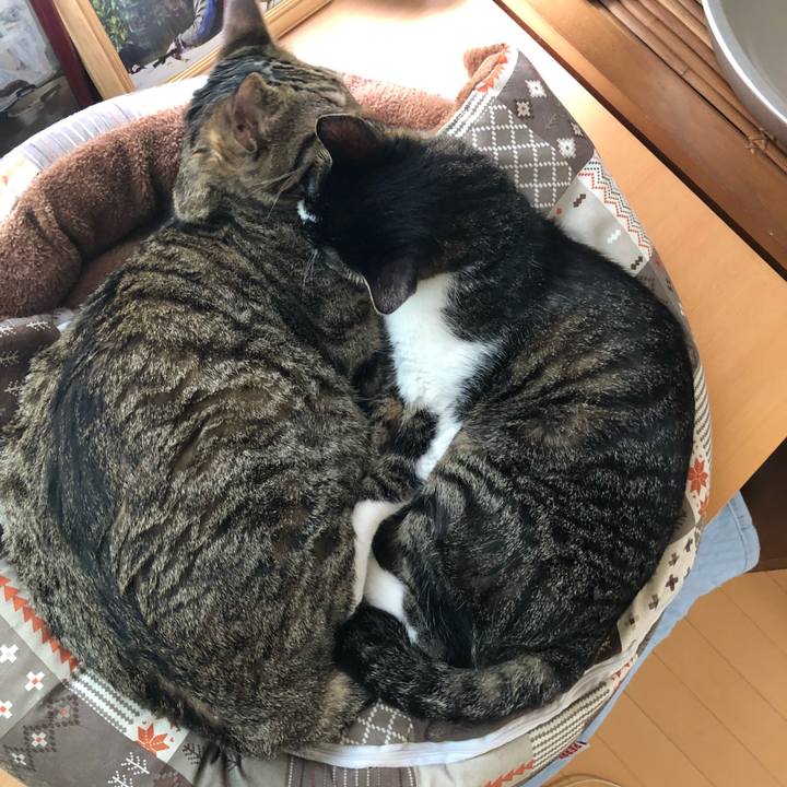 300b3347 ffee 40fa 92df 0ab470b3a479 1529729216593