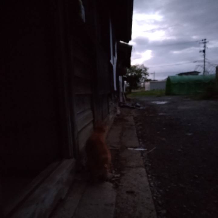 300b5c24 6826 479f 8ab3 0c0e6ba1c271 1663706057260