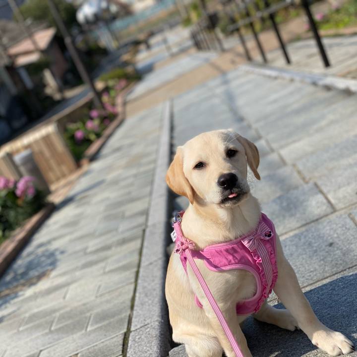 300b6c0e 2523 4159 877b b4144b49b161 1615513620324