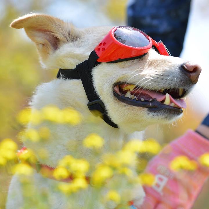 300b779a 4390 4665 b7d5 d8f34cd4d8a4 1524395002252