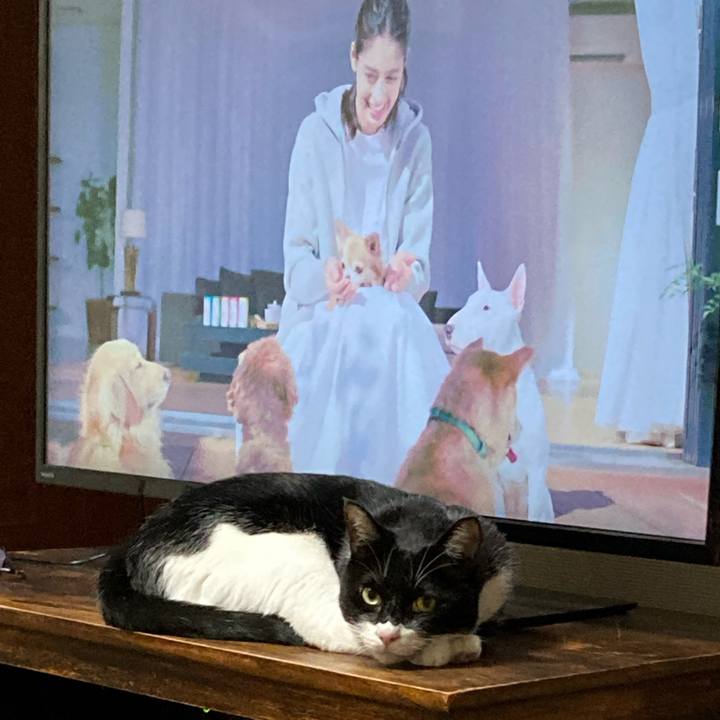 300b7af5 8dd0 410d b45e 13e7f3138c3f 1653372972725