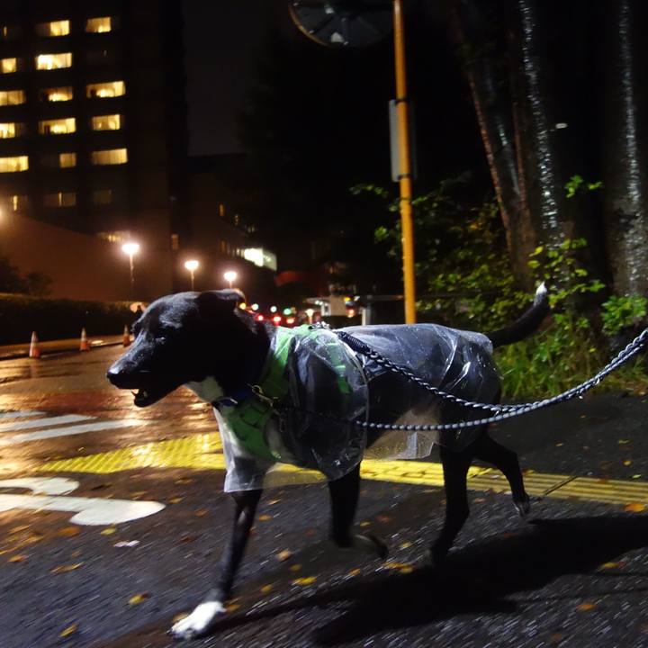 300b88b0 fbec 4b10 bf54 a1ab83718379 1602324438070