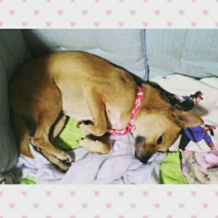 300b892c dd37 43d2 832b feb4623c6ba5 1520055614276