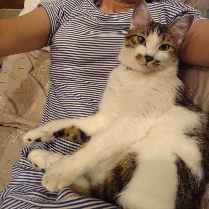 300bd7cf 2d8e 4ad5 8f28 8d651568a82e 1571105312601