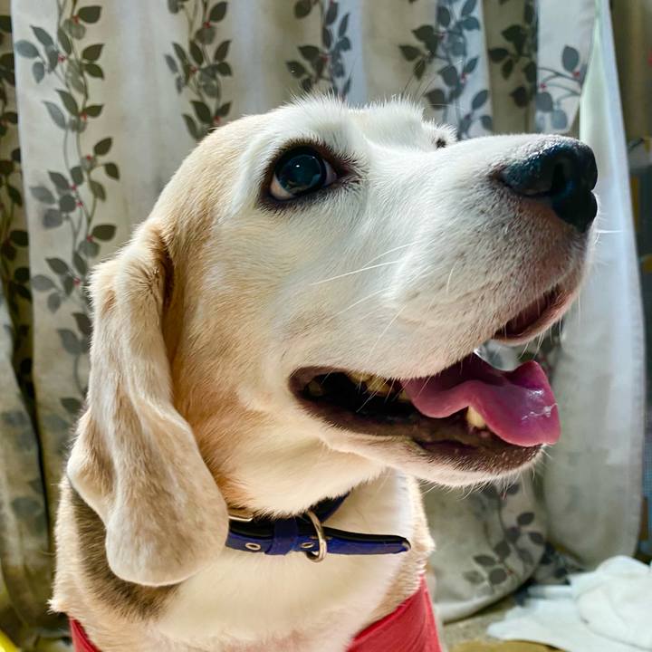 300bf0b1 c1c6 4098 a79d 2e94dd5a5a34 1627876305172