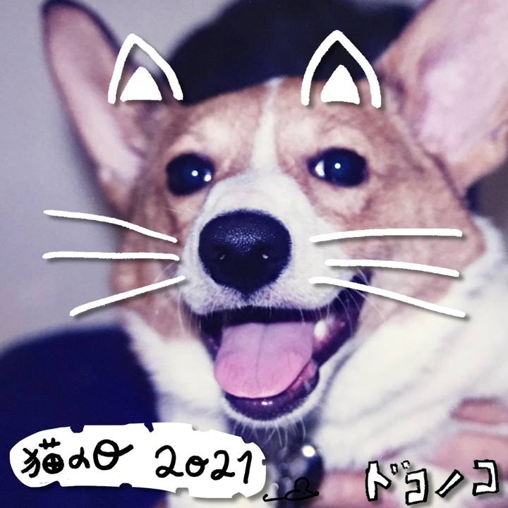 300bfea3 3b51 421a 8289 9241f24ee433 1613996167781