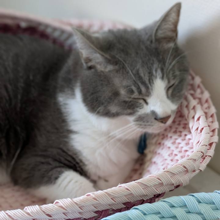 300c218f e6b2 4646 8d74 1f55d0f84b80 1755396451557