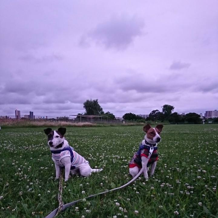 300c3d3f 8f90 461f bfd0 7c6211520f36 1529149497534