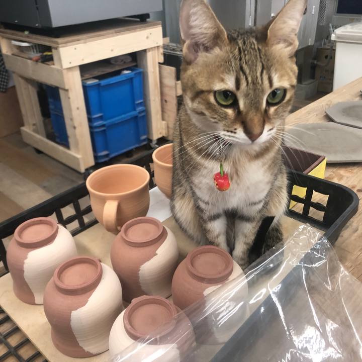 300c51f7 d7fa 466b ad60 791e62998942 1644801162032