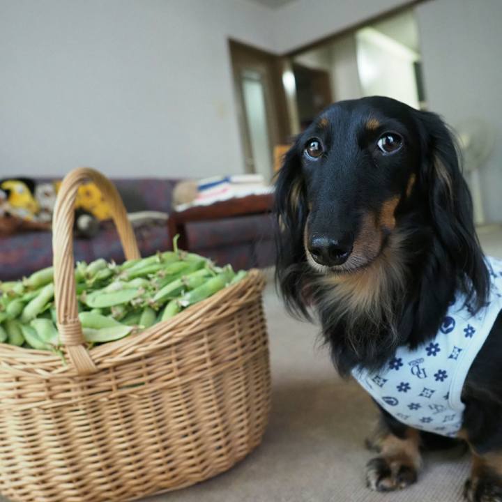 300c5b8d f2b3 4a67 bf21 96ca5f0f082d 1558673125697