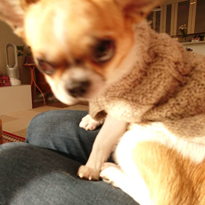 300c6185 681b 465c a878 74b6e75a0120 1580342753186