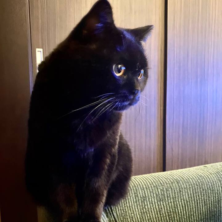 300c7b5a 46fa 4a44 be0b 5fa0edc5af1e 1691583602915