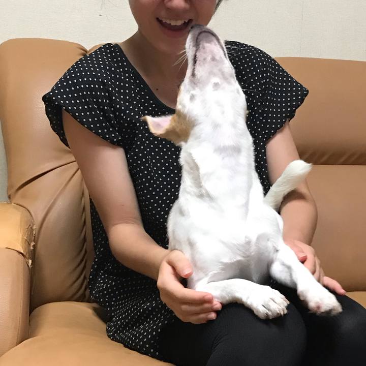 300c7fb0 ed9c 4f7e 9524 a6428f6d22f2 1564570473098