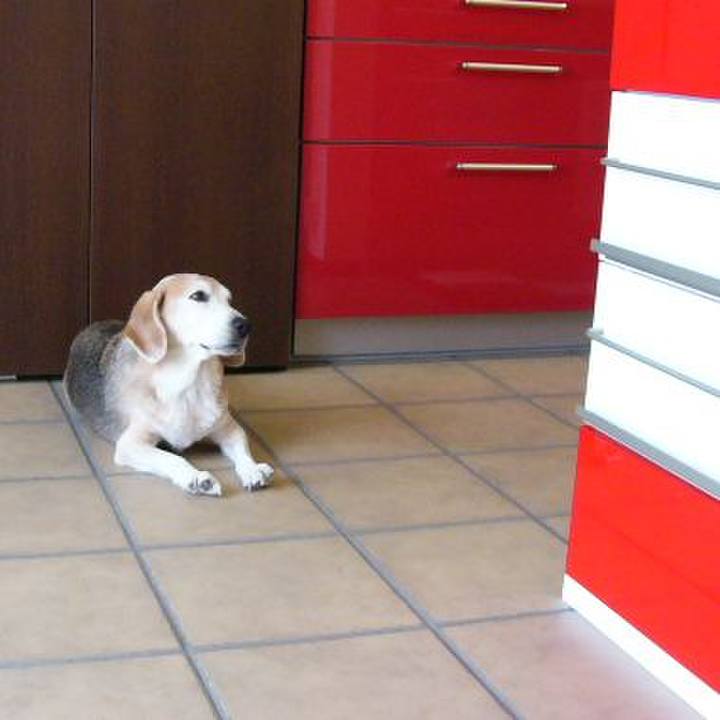 300c9290 00c5 462f a1c3 ddaaa790bd70 1692317376242