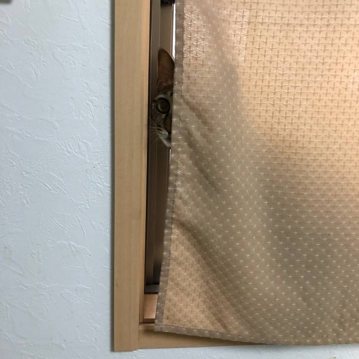 300cb61d 9465 4d36 a760 d814289ec77c 1559729219174