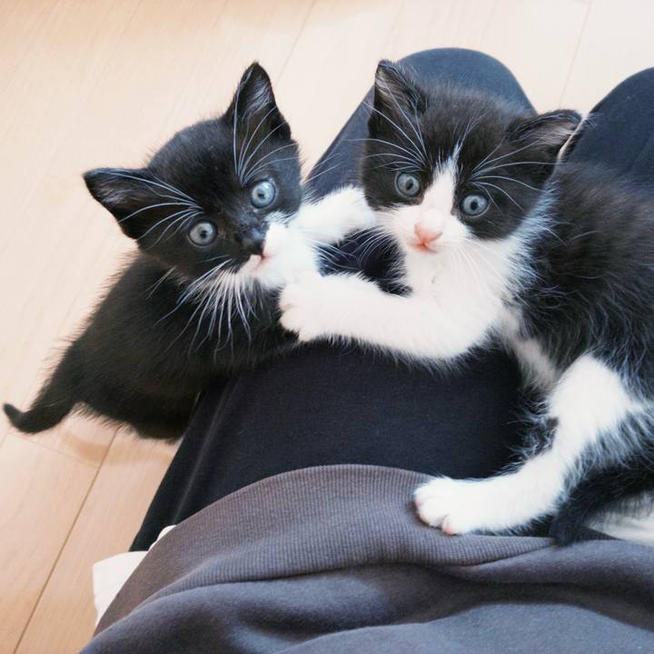 300ccb15 2bb9 468e 9d83 735c598b1b1f 1760483592236