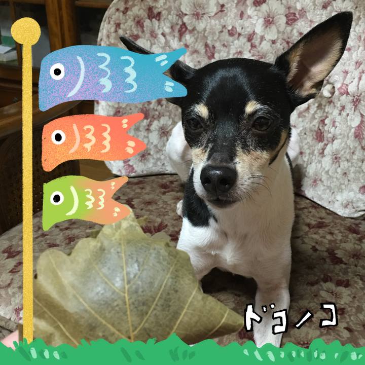 300cdad3 bf4f 4fbe 9fda 191ce456fdfd 1714915833778