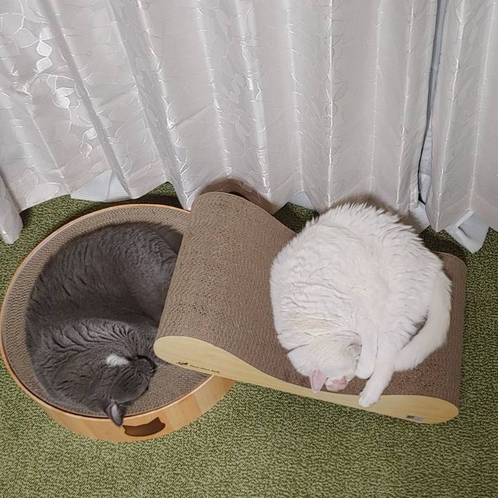 300d038f d8fe 4ccb afb1 7df238d93233 1627297541225