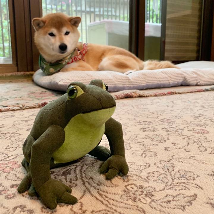 300d1414 c9d5 49fb b30f 92557ce05465 1593505328935