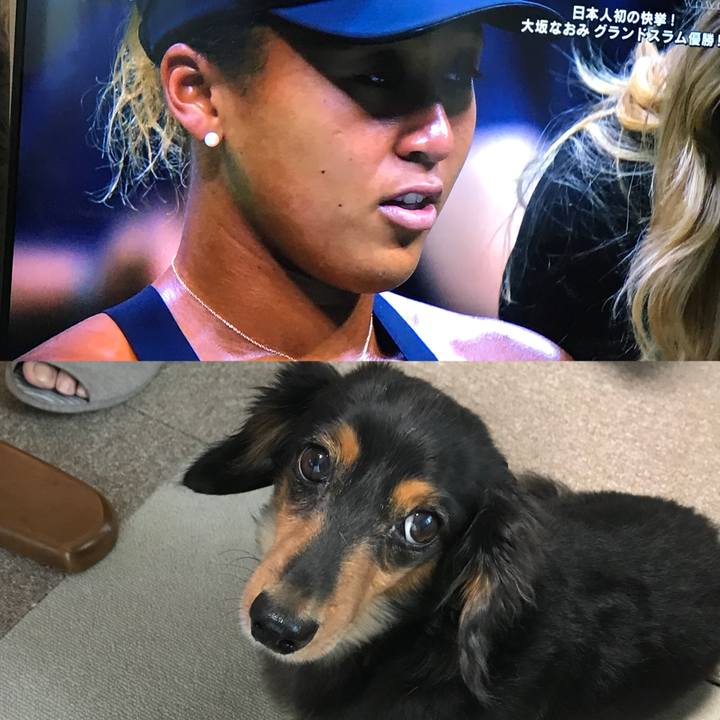 300d3da3 2185 403b a4d0 b7e8ce0888c1 1536443065792