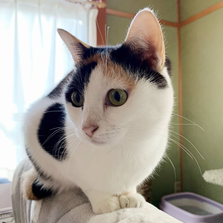 300d78fd 4495 4376 81dc ea38407754c4 1543543816089