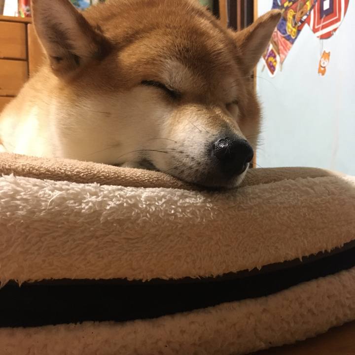 300dbb4c 0fa8 4354 b2eb a99fe66b1866 1594813960574