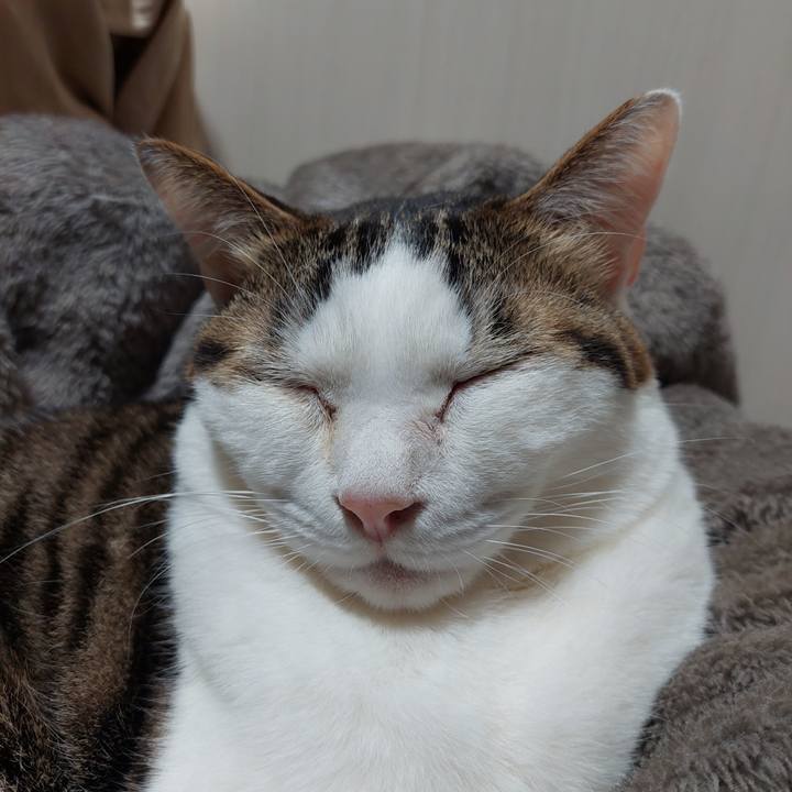 300dbc80 eca1 443f ad3d b1b8fac6b8e3 1643924589824