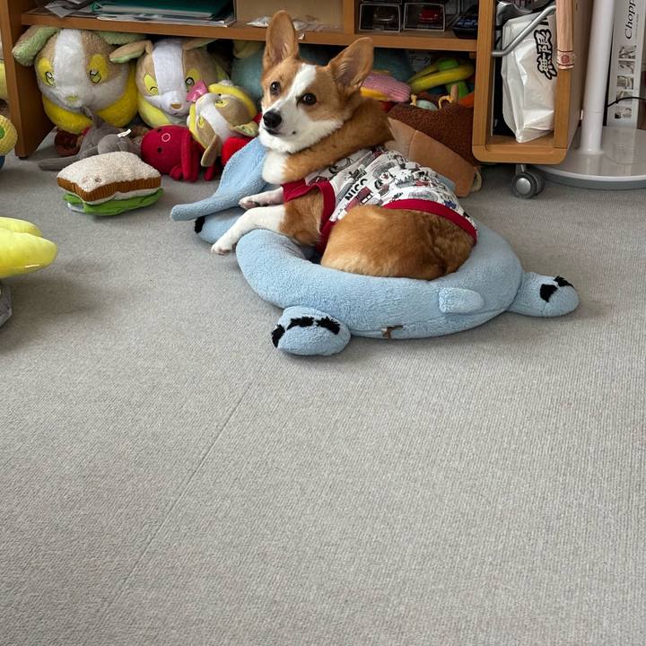 300dd6ec f387 446a af20 7b9454f4bd80 1761177118922