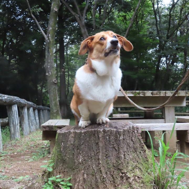 300de436 7138 4555 be6e 2c861a965096 1632792941253