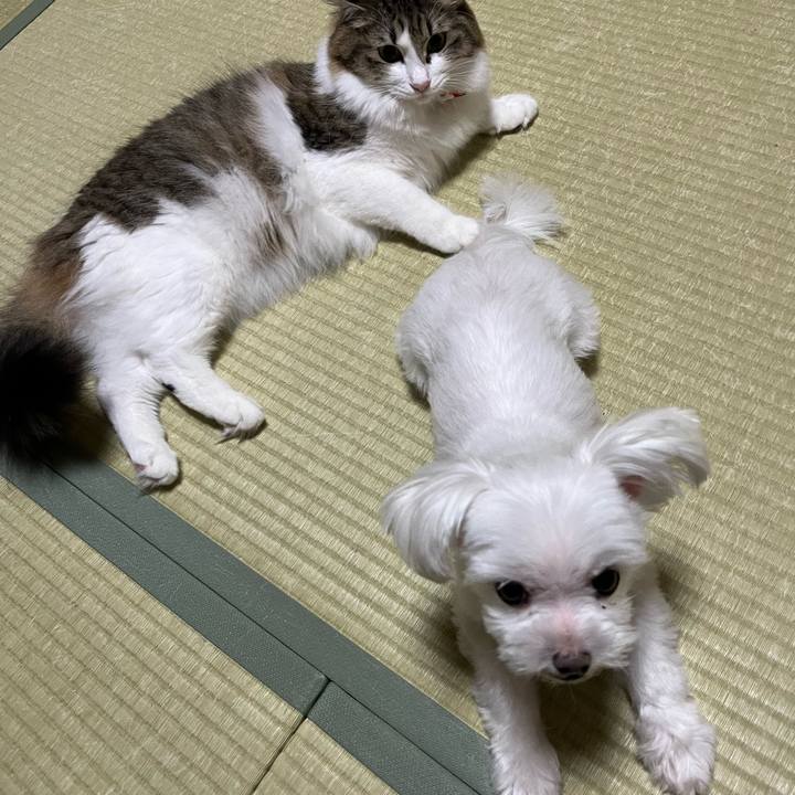 300debb9 b06a 4d7b b16f 8f3d7e1cb062 1728357694391