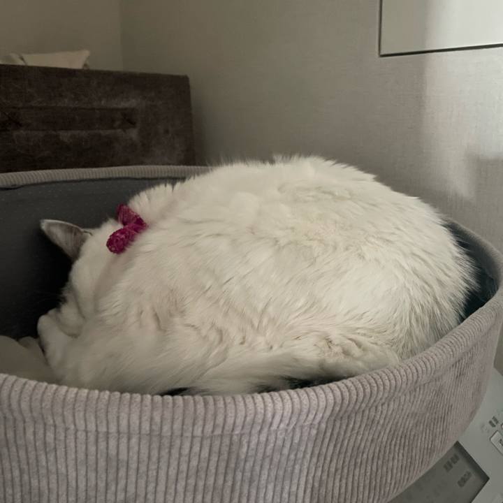 300e1a4d bd62 4a50 bc77 8adde90d8e29 1768447505792