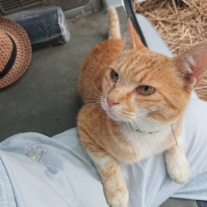 300e2e37 fa9a 4d28 8c0d d3b14dfaff72 1591820397479