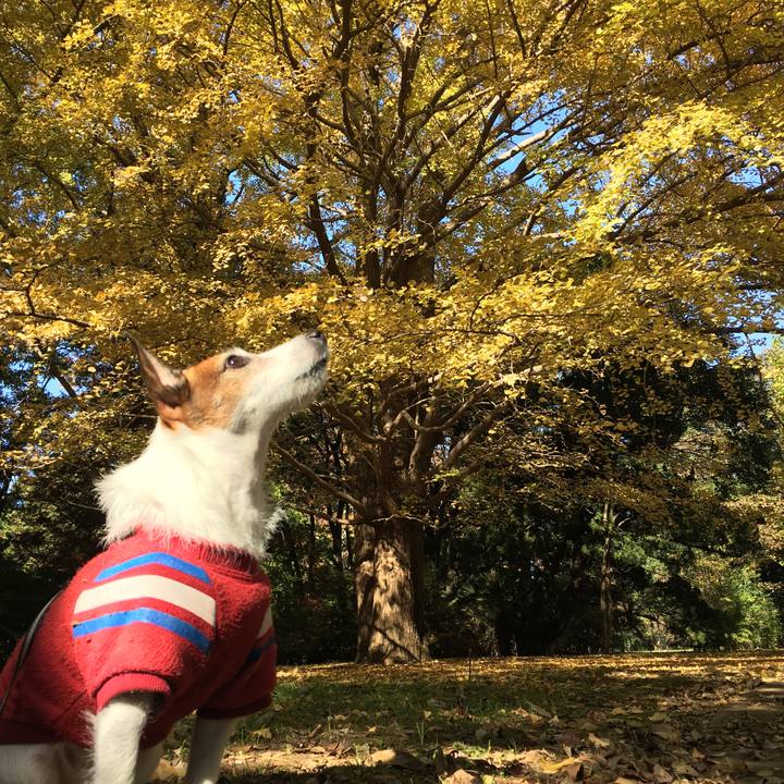 300e4724 056c 4ed5 8612 19f0c4809cc7 1605316202909