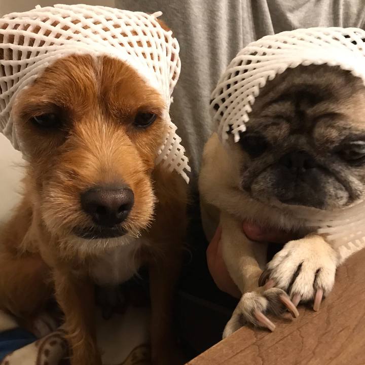 300e8729 5602 4069 88c9 87ddc52b67ea 1566386491108